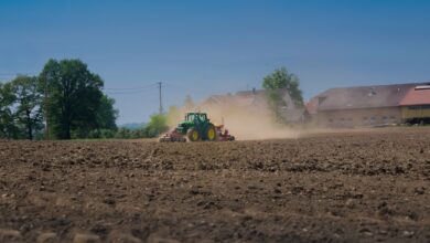 Inhaled farm dust alters gut bacteria and weakens intestinal barrier in mice