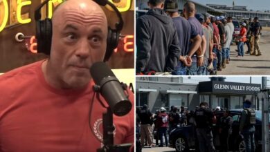 Joe Rogan said ICE roundups of illegal immigrant workers are ‘insane’