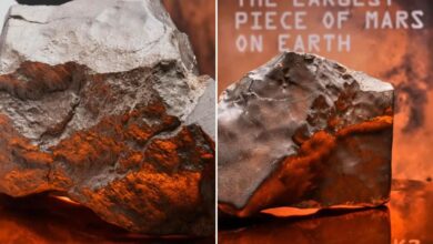 Largest piece of Mars on Earth sells for .3 million at NY auction
