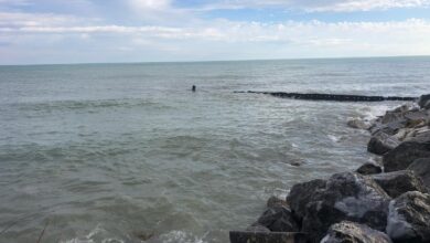 Loneliness predicts poor mental and physical health outcomes, survey data indicate