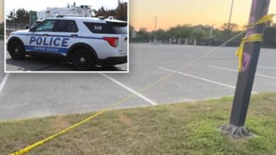 Long Island ‘fight club’ busted when gunfire breaks out — leading to 13 arrests