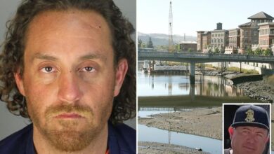 Man allegedly commits brutal murder just days after being freed by California’s mental health laws