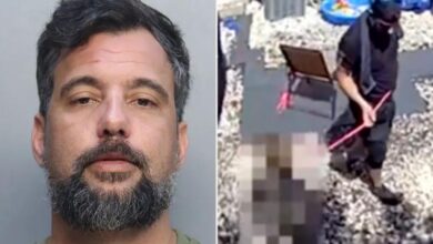 Marine vet violently kicks, yanks 6-year-old stepson on dog leash, disturbing video shows