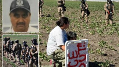 Migrant farm worker died after falling 30-feet from roof during chaotic immigration raid at California pot farm