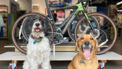 Mike’s Bikes in Denver has good vibes, dogs and great bikes