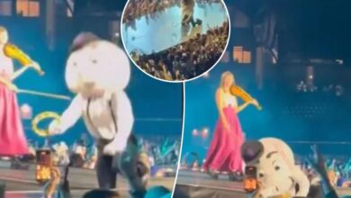 Mr. Met falls off stage during Lumineers concert at Citi Field in embarrassing viral video