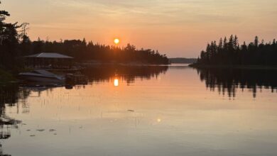 My Weekly Reading for July 13, 2025