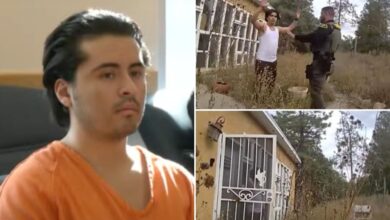 New Mexico brute Adlai Mestre allegedly shot parents, teen sister and family dog to death — and dragged their corpses to ravine to ‘bury them’