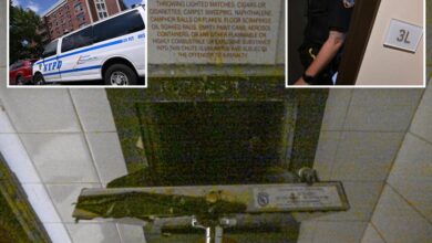 Parents of NYC girl, 1, thrown 3 floors down trash chute by uncle, 39, scrambled to rescue her: sources