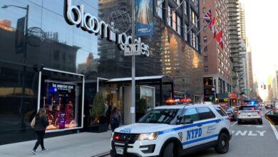 Perps with HUNDREDS of arrests make a mockery of New York’s criminal-justice system