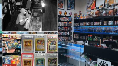 Pokemon bandit swipes 0K worth of rare cards in break-in