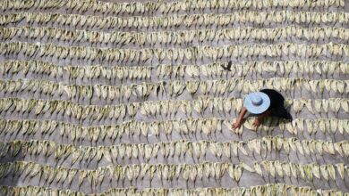 Reform, not relief, for China