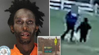 Registered sex offender to walk free after elementary school kidnapping attempt, prosecutors say