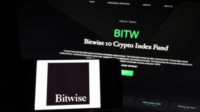 SEC Stays Bitwise Crypto ETF Launch Despite Approval