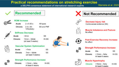Scientifically grounded recommendations for stretching published for the first time
