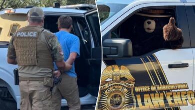 Smokey the Bear arrests man for allegedly stealing his signs in Florida to sell on Facebook