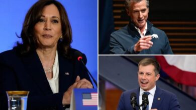 Three Democrats win double-digit support in early 2028 presidential primary poll
