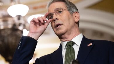 Trump tariffs Treasury Secretary Bessent Supreme Court