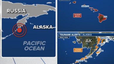 Tsunami alerts triggered for Hawaii, Alaska after massive 8.0 quake strikes off Russia