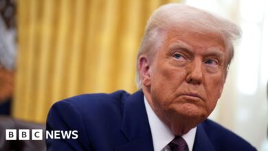 What have tariffs really done to the US economy?