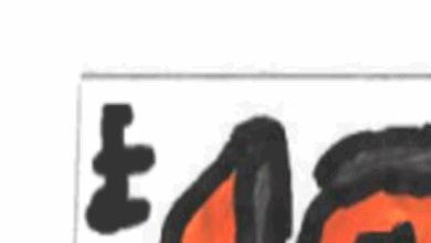 What will the new banknotes look like?