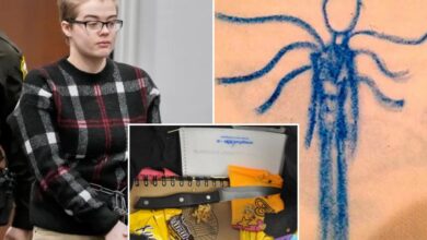 Wisconsin Judge OKs release plan for Morgan Geyser, who stabbed a classmate to please Slender Man