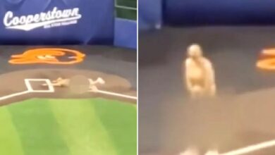 Youth baseball coaches fired after streaking at upstate NY tournament