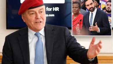 Zohran Mamdani’s election opponent has surprise take on Columbia application controversy: ‘Now he is a martyr’