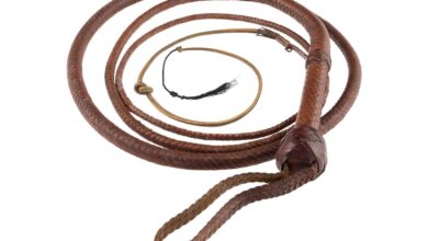 Hollywood auction of “Indiana Jones” whip draws 5,000 after “Citizen Kane” Rosebud sled gets near-record .75 million