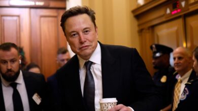 ‘It’s a cover up’: Musk floods X with posts attacking Trump over Epstein