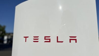 Tesla profit slumped in second quarter, a sign Musk is hurting the brand