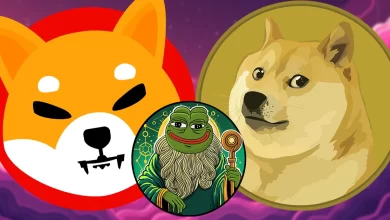 Which Coin Will Lead the Next Bull Run? 