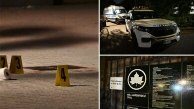 14-year-old stabbed to death in mass brawl at Bronx playground