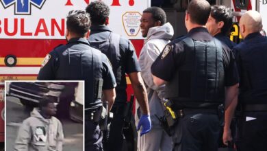 Alleged Queens carjacker suffers apparent health episode at NYPD precinct: photos