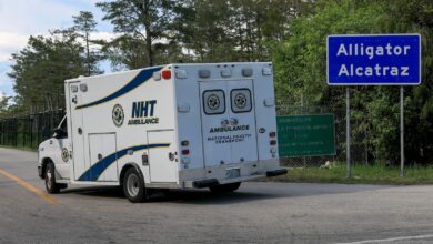 Democratic lawmakers demand information about ‘Alligator Alcatraz’