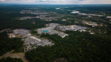 Amazon deforestation surges in Colombia, reversing historic gains