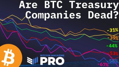 Are Bitcoin Treasury Companies Still A Smart Investment In 2025?