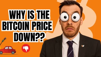 Bitcoin Price Falls — And As Usual, Nobody Knows Why