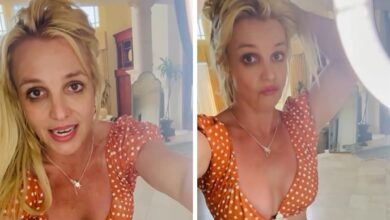 Britney Spears Sings While Cleaning House in New Video