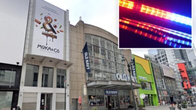 Career criminal with 31 prior arrests slashes NYC cafe worker: cops