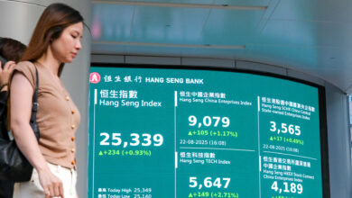 China, Hong Kong stocks climb, leading gains in Asia
