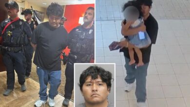 Creep with violent past caught abducting girl, 3, from mall: video