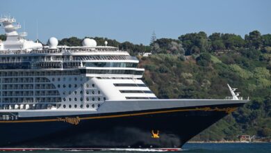 Cruise line stocks are on the rebound this year. Here’s why.