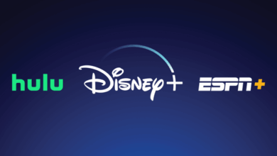 Disney to Stop Reporting Subscriber Numbers for Disney+, Hulu, ESPN+