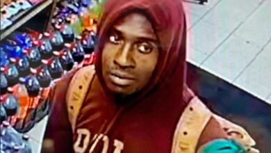 Dog-killing perp’s freedom is fresh, ugly proof that no-bail is pure insanity