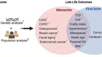 Early puberty and early childbirth may come with a cost