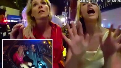 Enraged pal of arrested RI prosecutor was trying to ‘slow things down’ when ‘s–t hit the fan’ during trespassing bust: lawyer