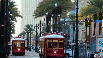 Extreme heat linked to spike in domestic violence calls in New Orleans