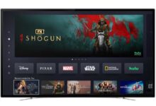 Hulu and Disney+ Merger – Here’s All Your Questions Answered