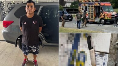 Illegal migrant threatened to harm himself with butcher knife when stopped by officers in DC: ICE